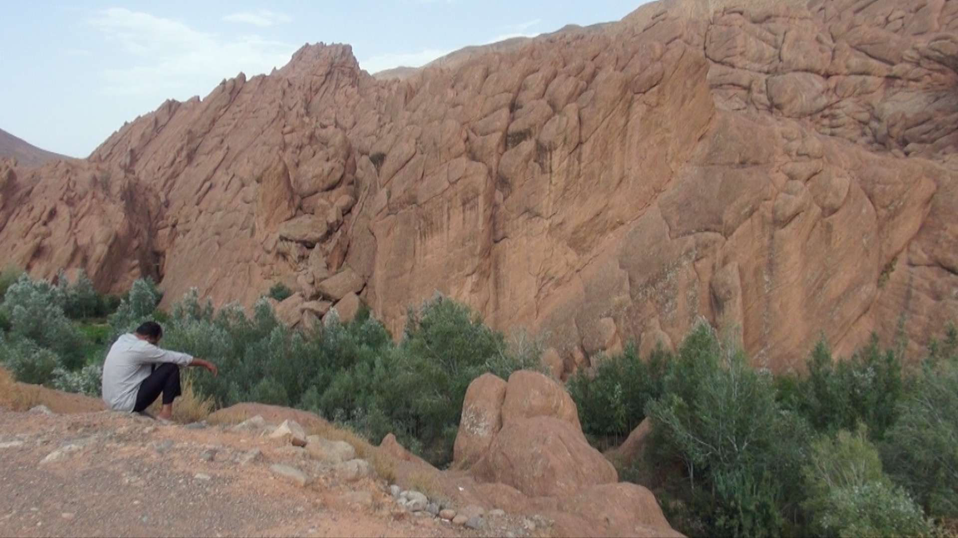 Road to Desert • Morocco Monkey PAWS-03
