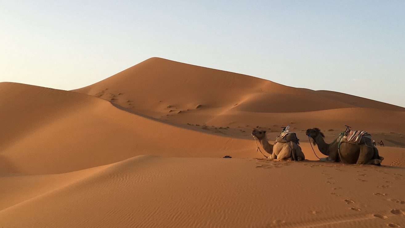 Road to Desert • Morocco Merzouga -05
