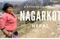 Nagarkot view of the Himalayas