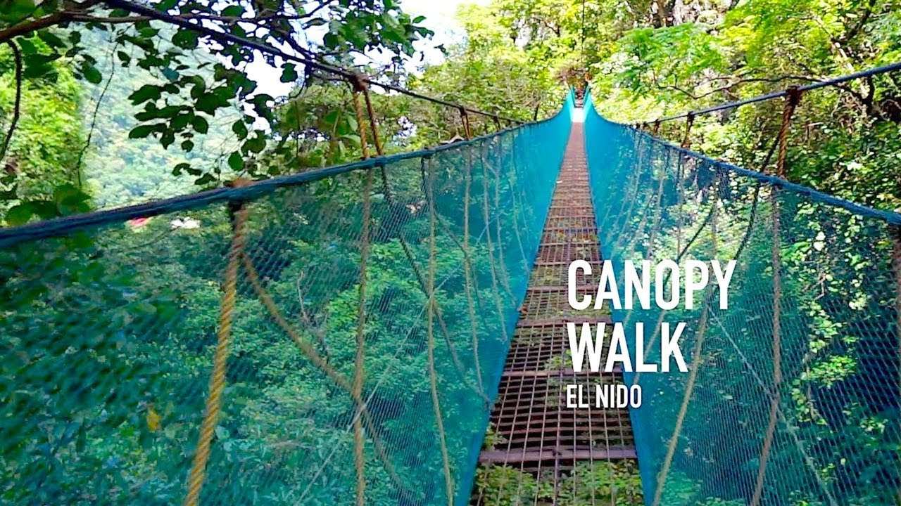 El Nido Canopy Walk - JOEJOURNEYS